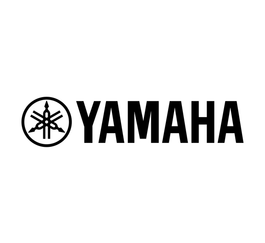 Georgia Sound & Vision Partners